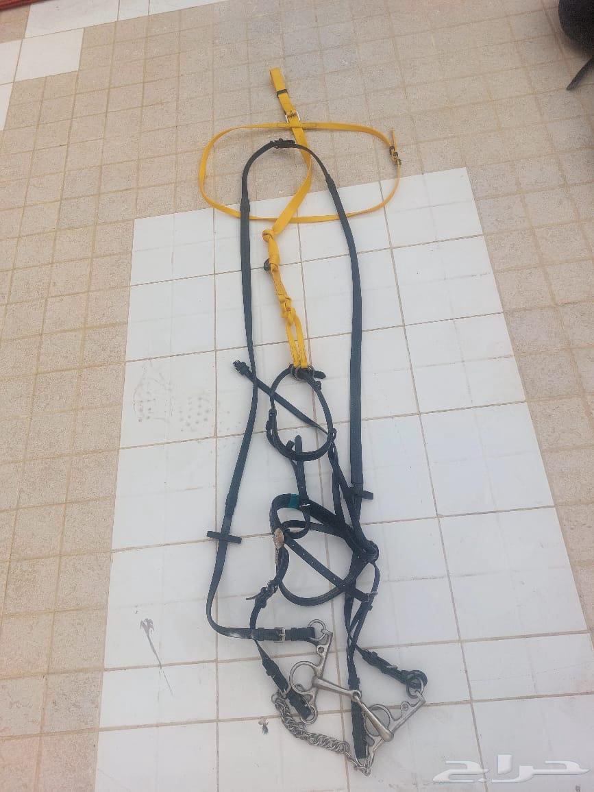 تم البيع64590679952898111