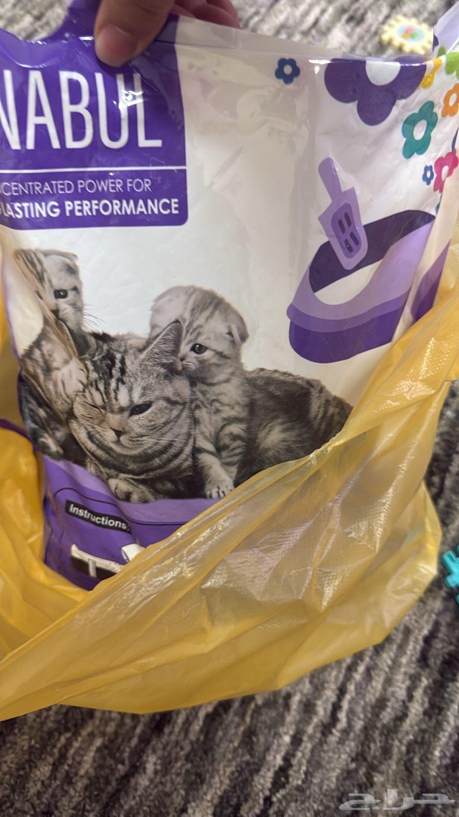 قطه للبيع64586201610625114