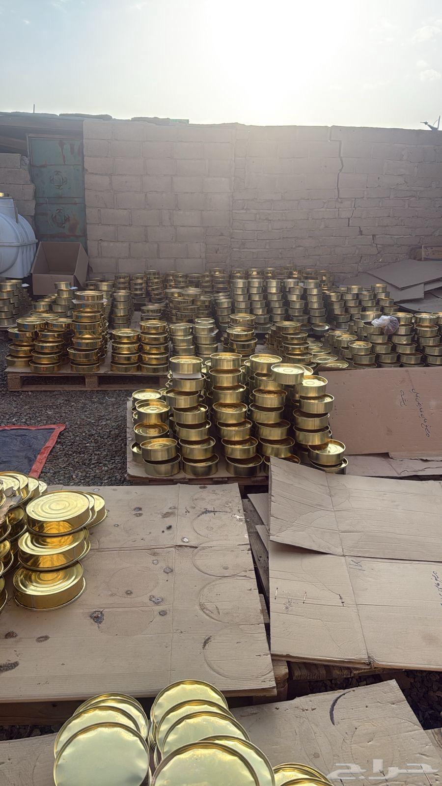 New Safri Dates64582740970369114