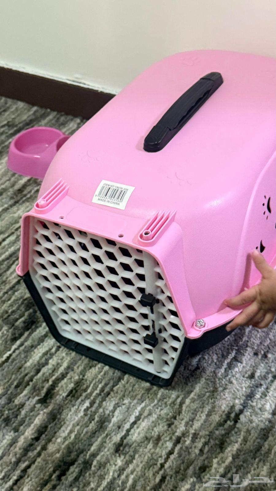 قطه للبيع64586201610625113