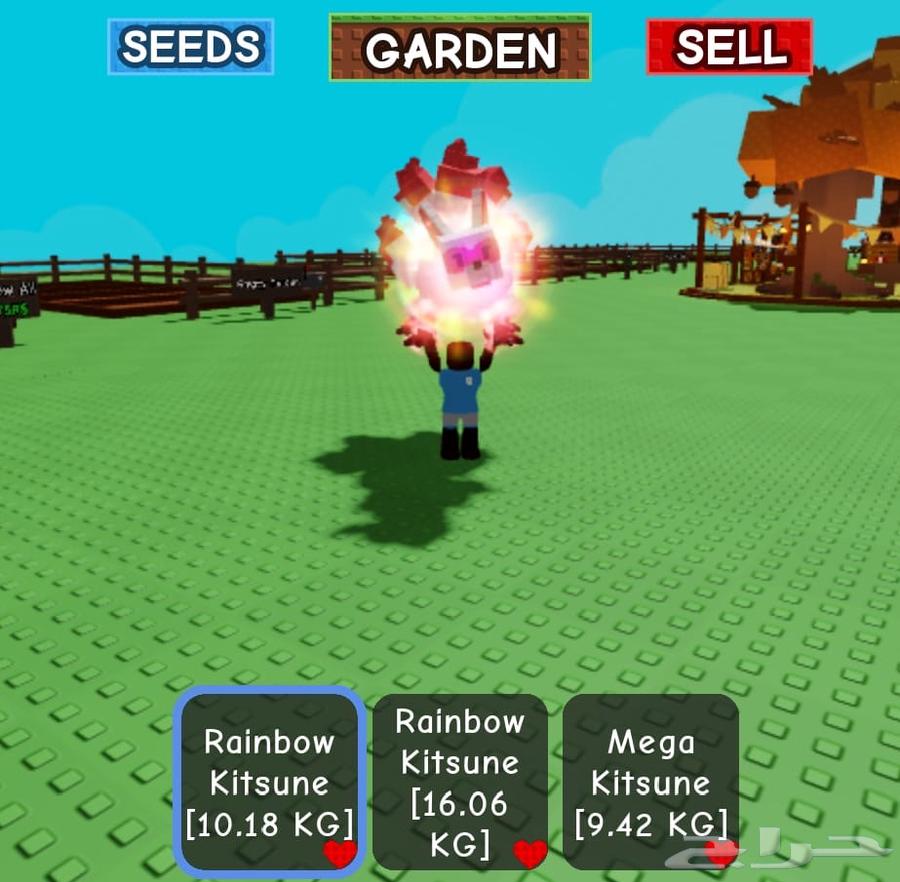 Red Rainbow Catsoni64582357666946114