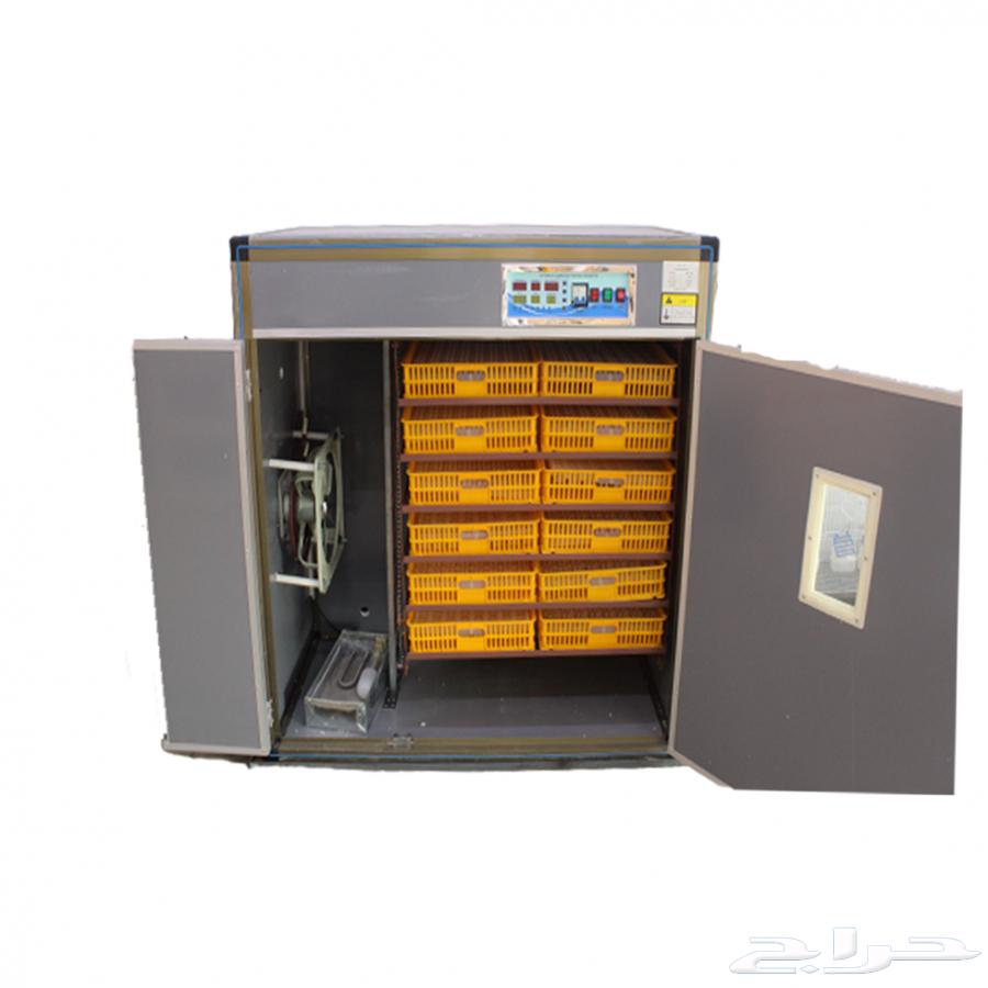 فقاسة عون المربي64596315974145111