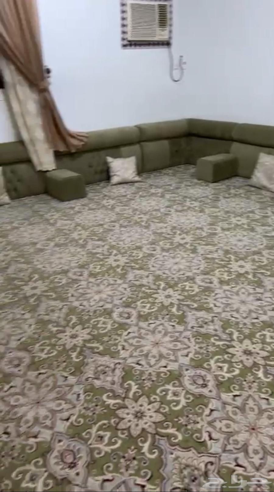 Complete cushion set with mattress, curtain, and cushions64591888571779112