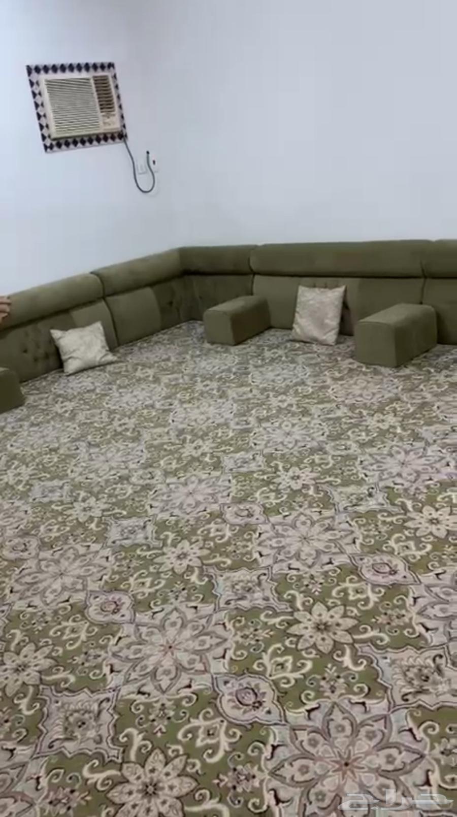 Complete cushion set with mattress, curtain, and cushions64591888571779113