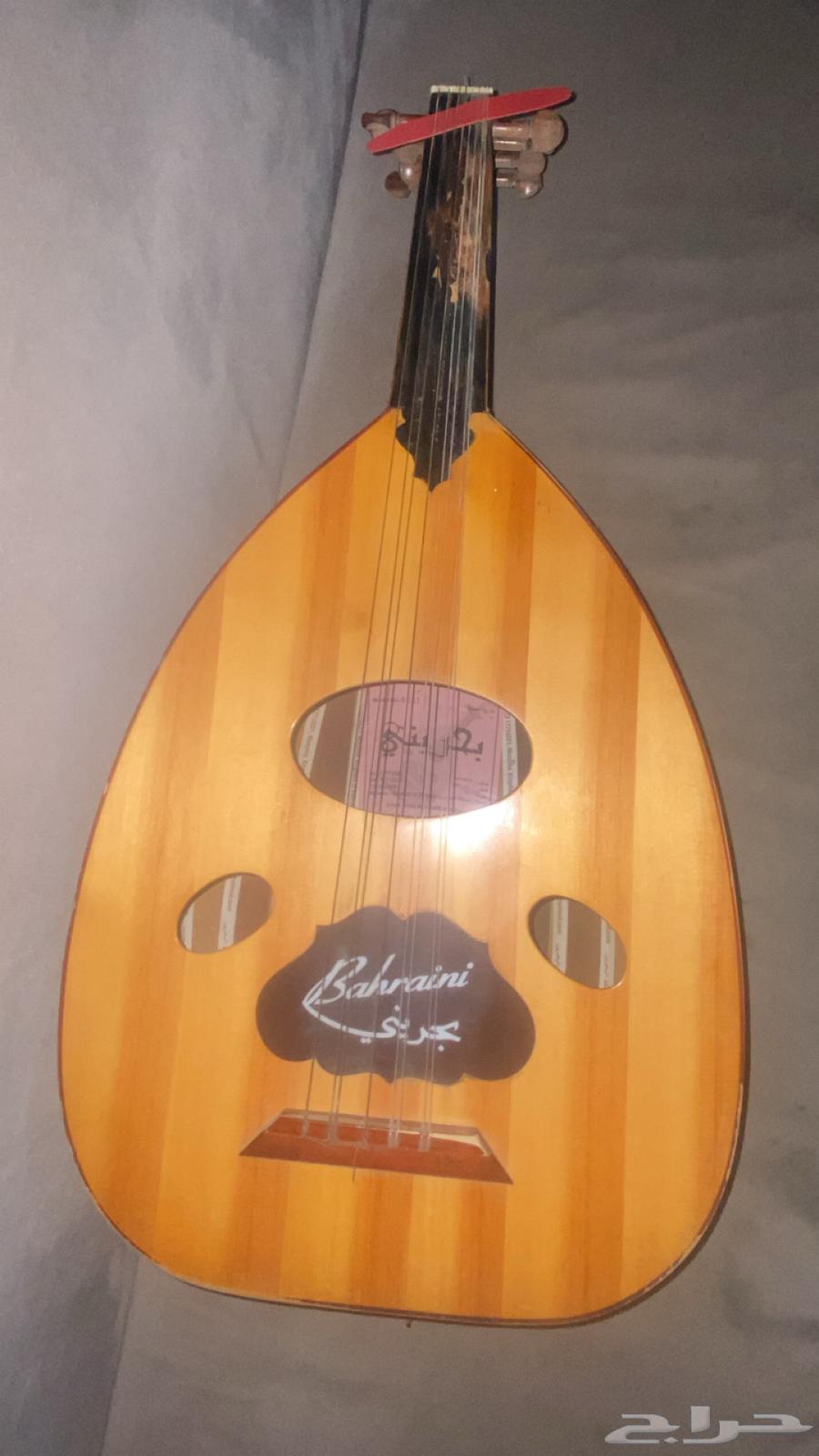 عود بحريني64590618652289111