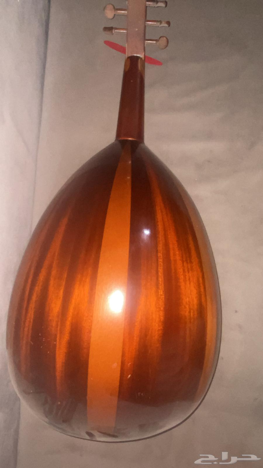 عود بحريني64590618652289110