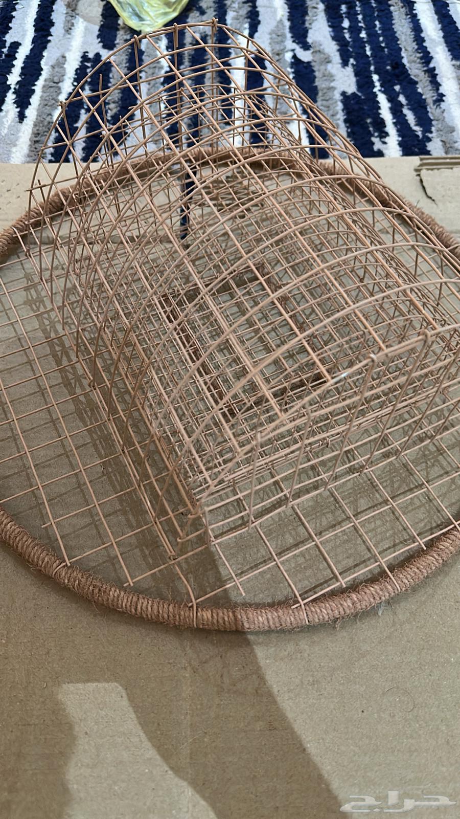 Double Circle Qirasha64592987060355111