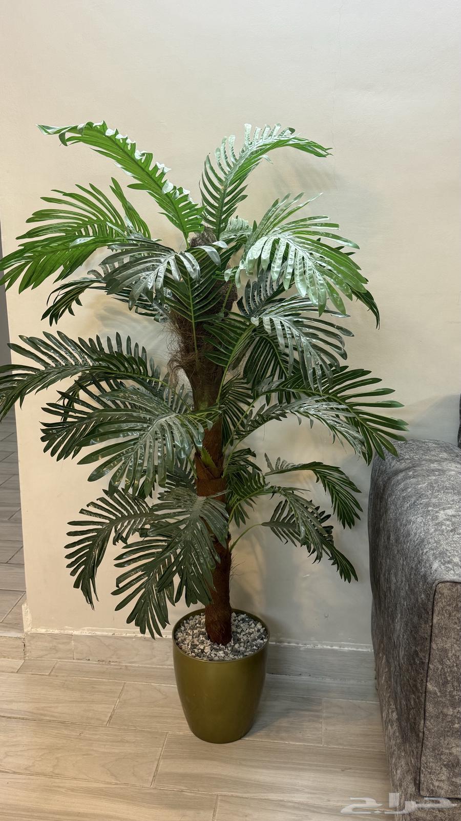 كنب شبه جديد   5 قطع64589585783297113