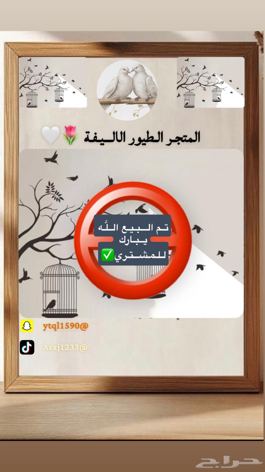 Presenting a large bird cage, lightly used, clean and new, now for sale64575098627329110