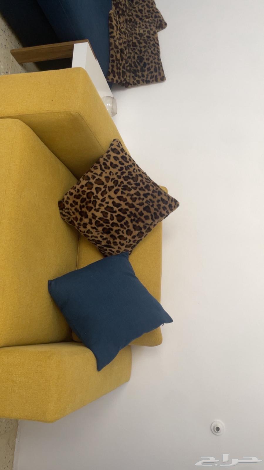 Sofa Set64591610454401111