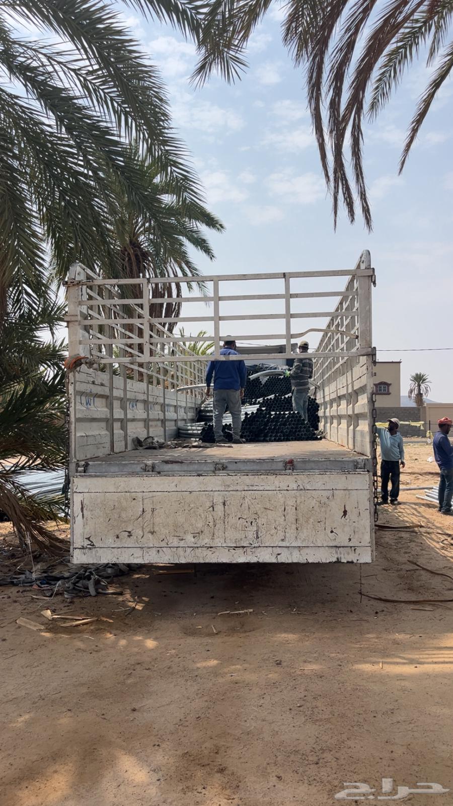 بيوت محمية أردنية الدفع عند الاستلام قطاعي جملة64588806496259113