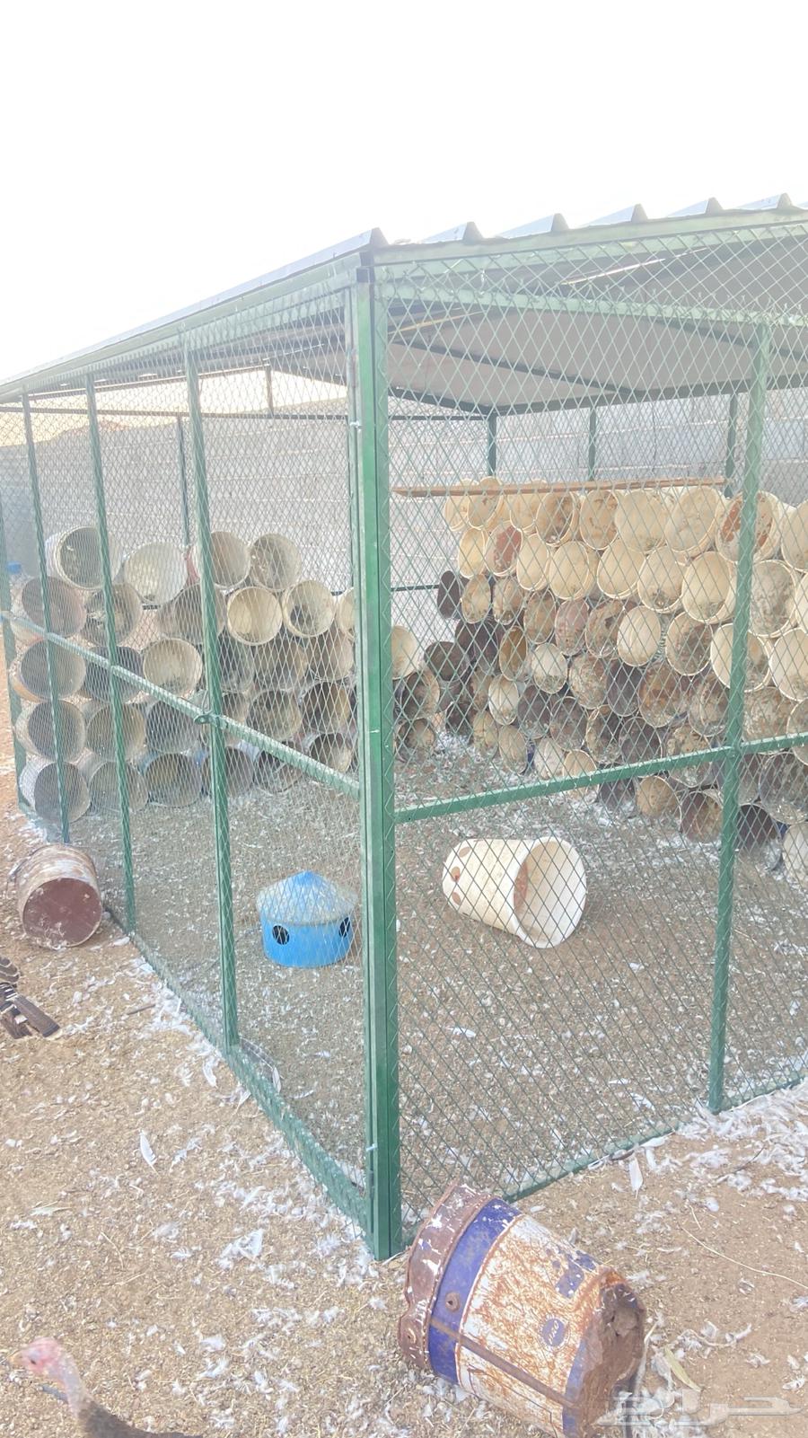 شبك حمام للبيع64592298933762111