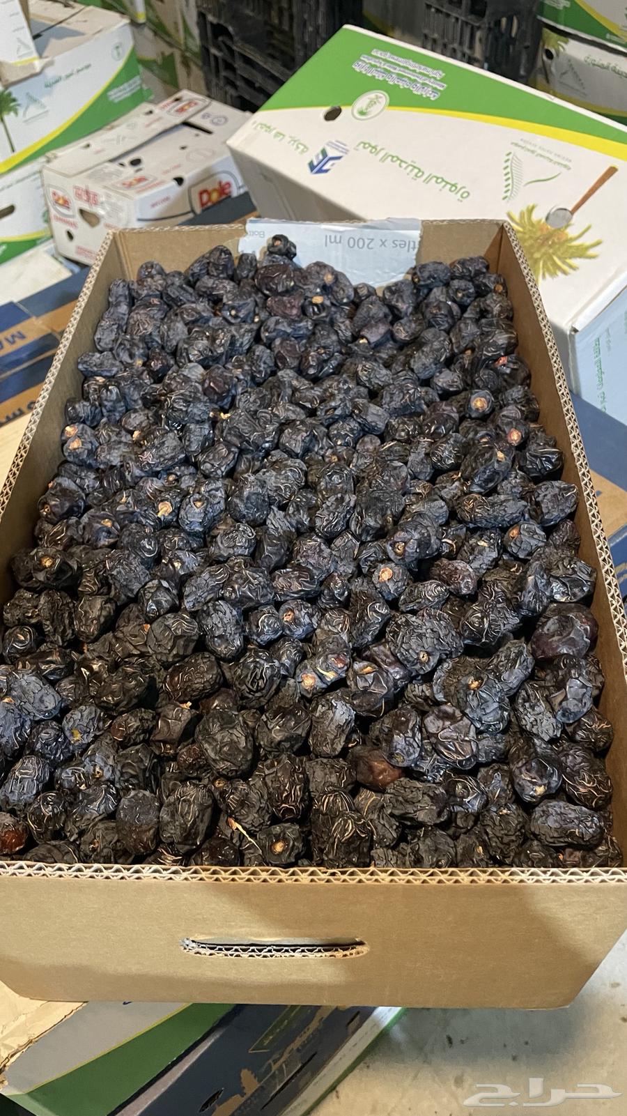 تمر عجوة المدينة المنورة64589376842371112