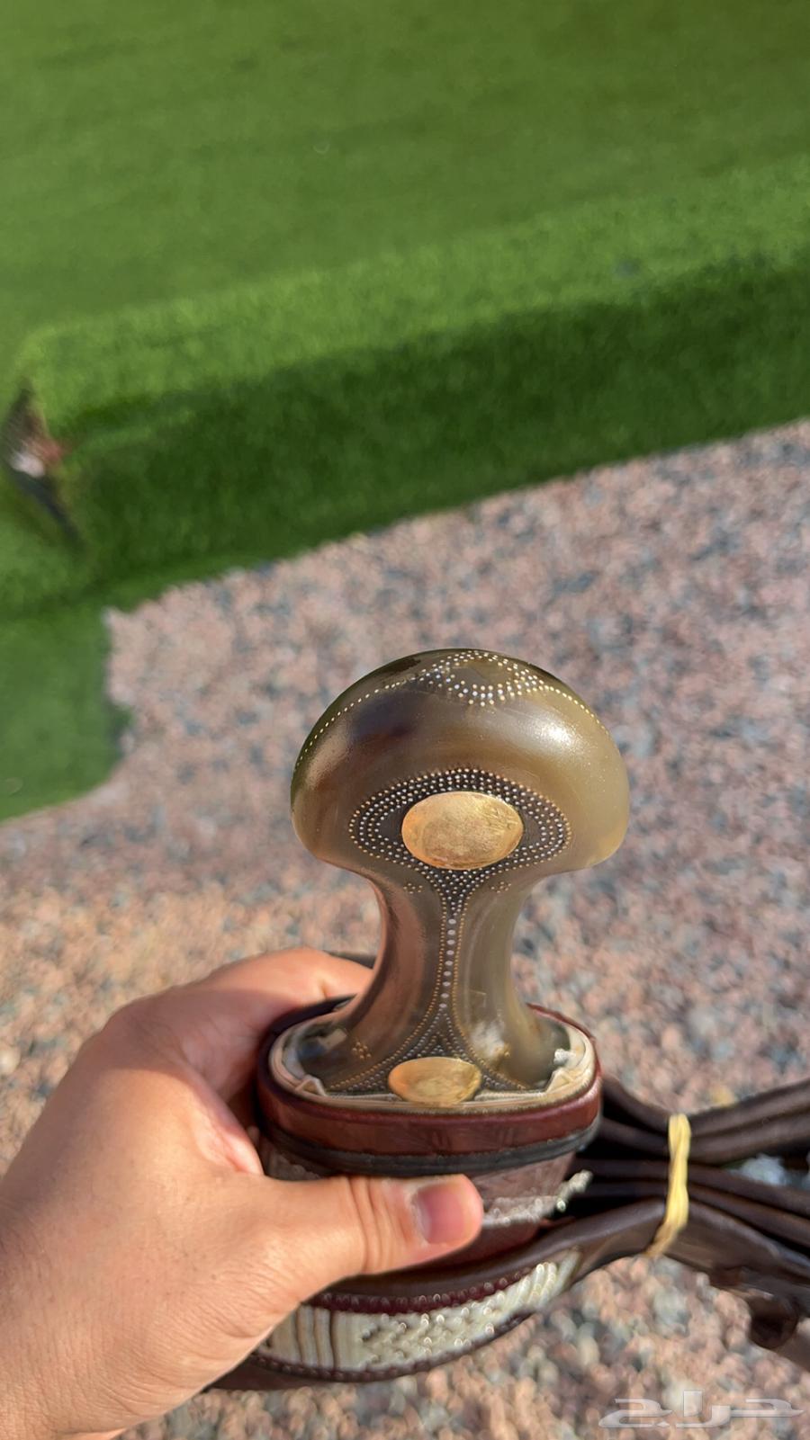 جنبيه قرن64500243104641113