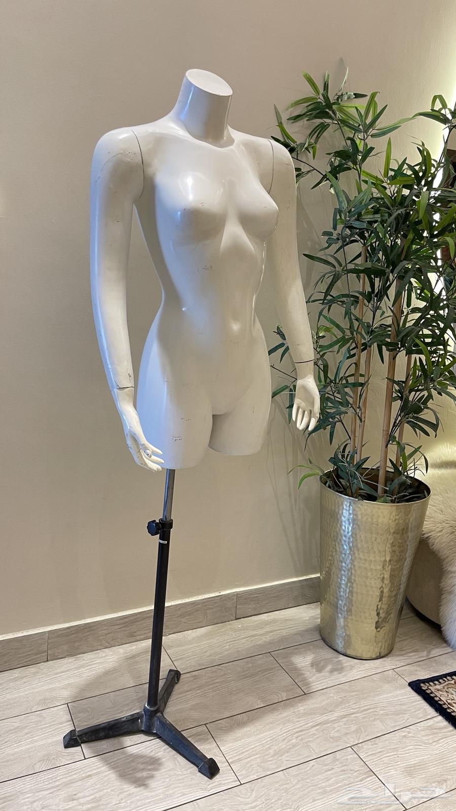 مانيكان للفساتين64593191604994110