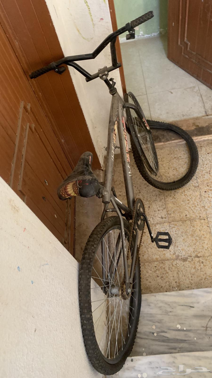 سيكل مقاس 26 استعمال شهر فقط وتصليحة يكلف 25 ريال64593035193731110