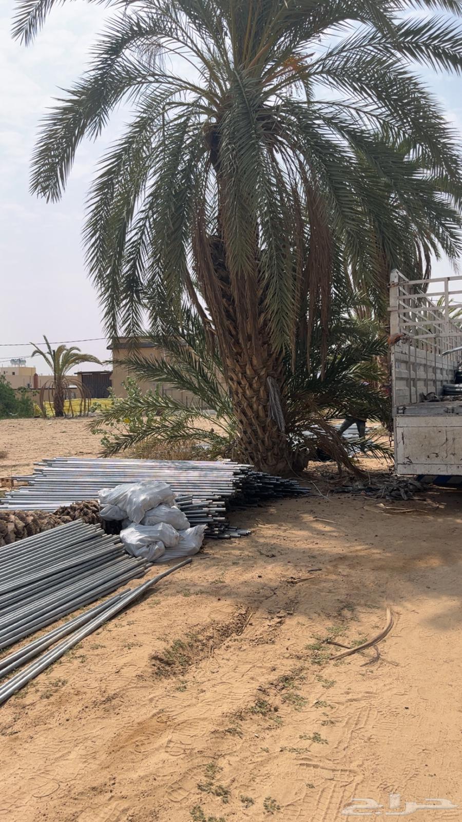 بيوت محمية أردنية الدفع عند الاستلام قطاعي جملة64588806496259112