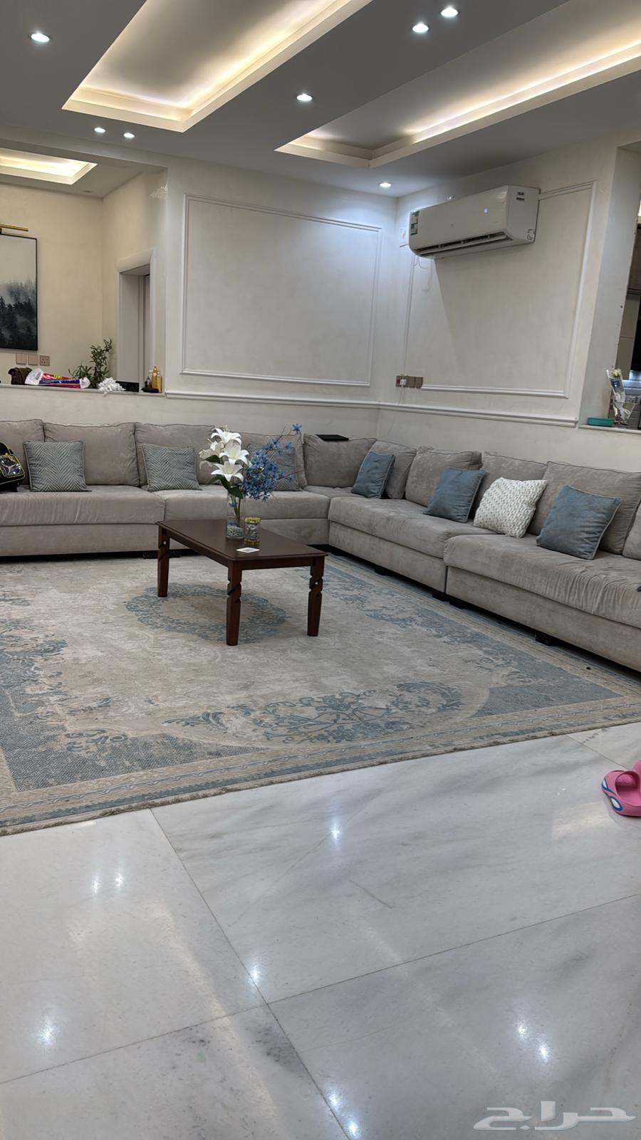 كنب وسجادة64590545734019110