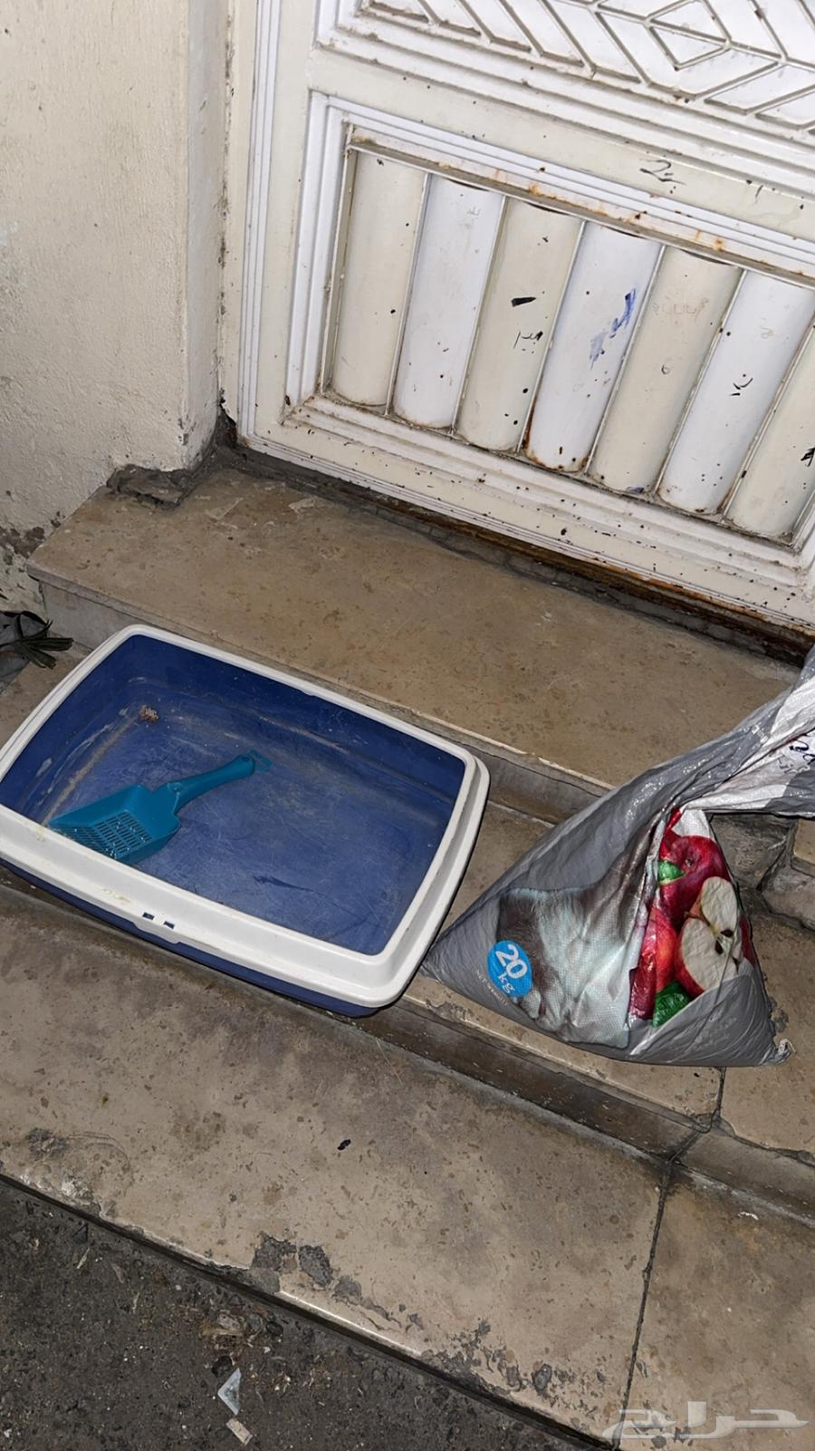 Litter box and trash bass64591719411587110