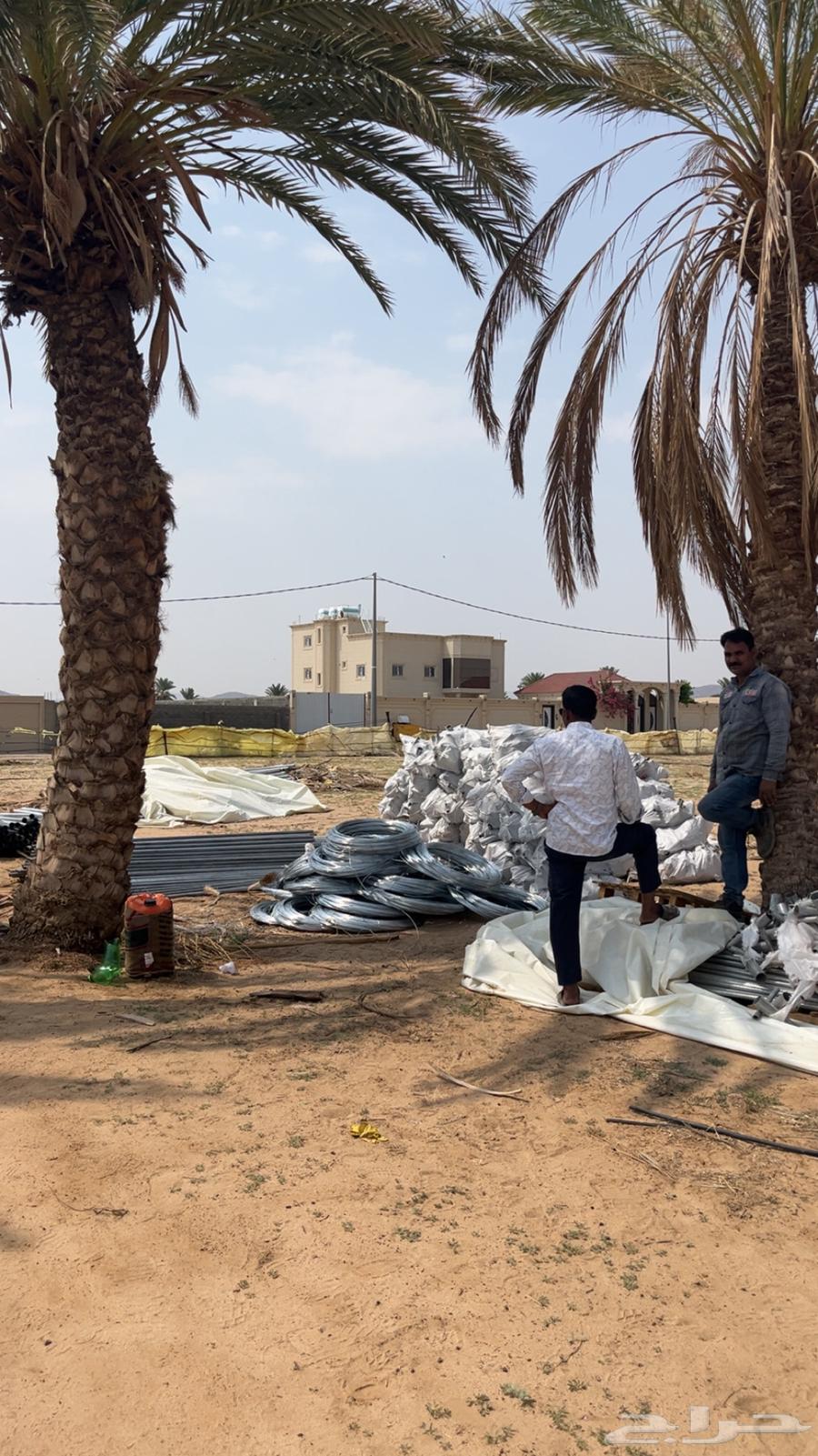 بيوت محمية أردنية الدفع عند الاستلام قطاعي جملة64588806496259111