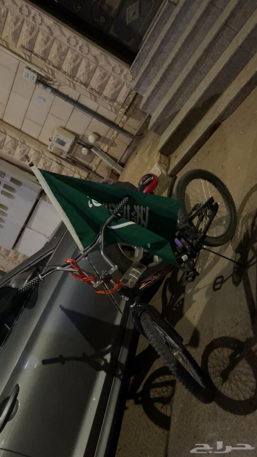 Cobra Bicycle, Size 20, Black Color64596328433282110