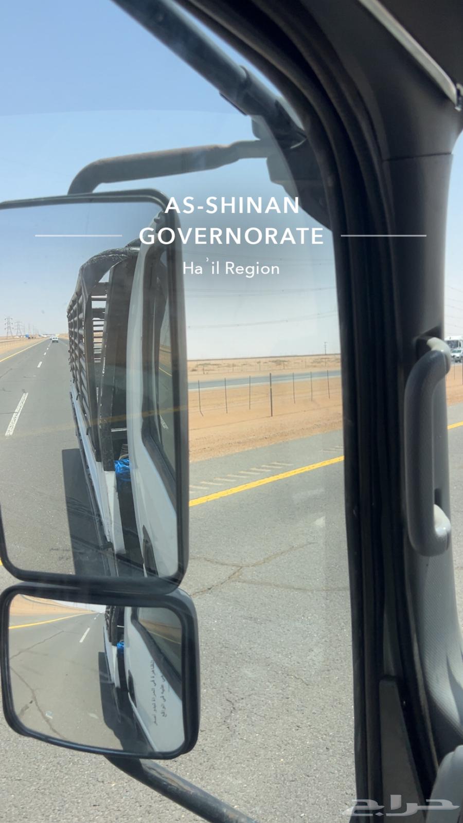 دينا نقل64381726132610110