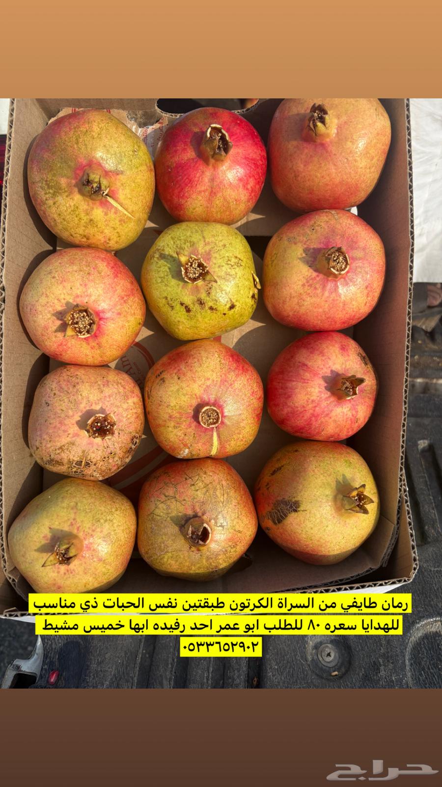 Taif pomegranate from Sarat Obeida64593143517057110