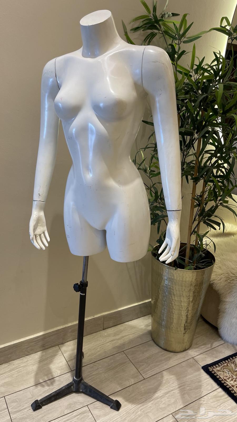 مانيكان للفساتين64593191604994111