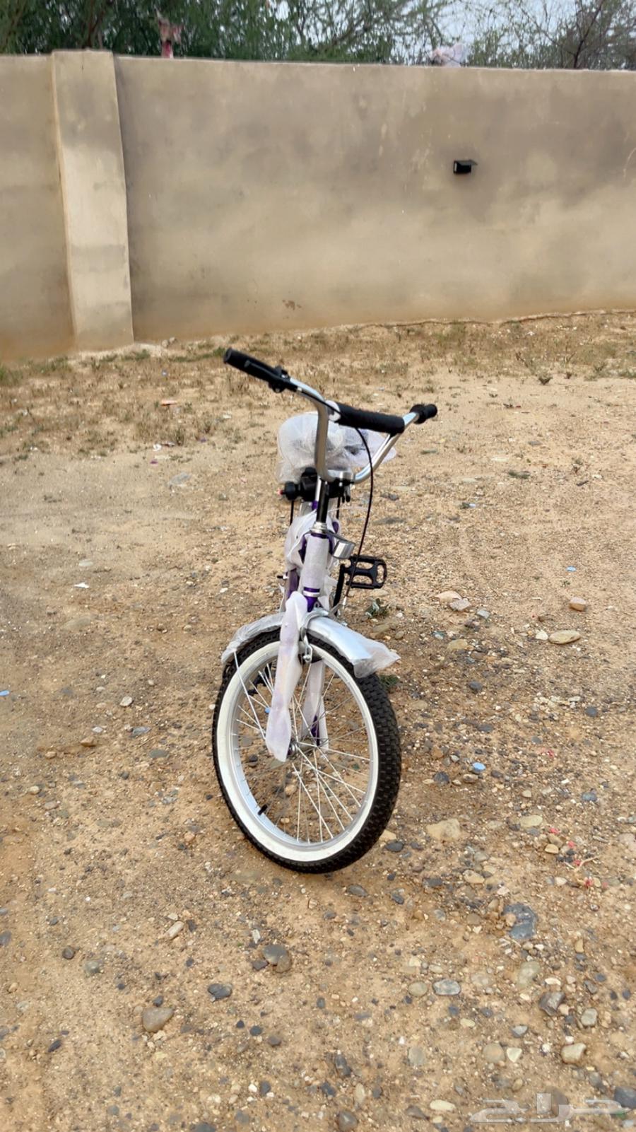 سيكل نضيف جديد64594053819906111