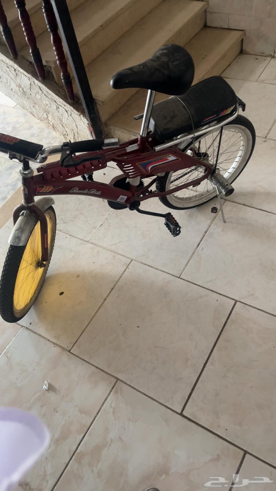 سياكل رامبو للبيع عنابي64592914261890110