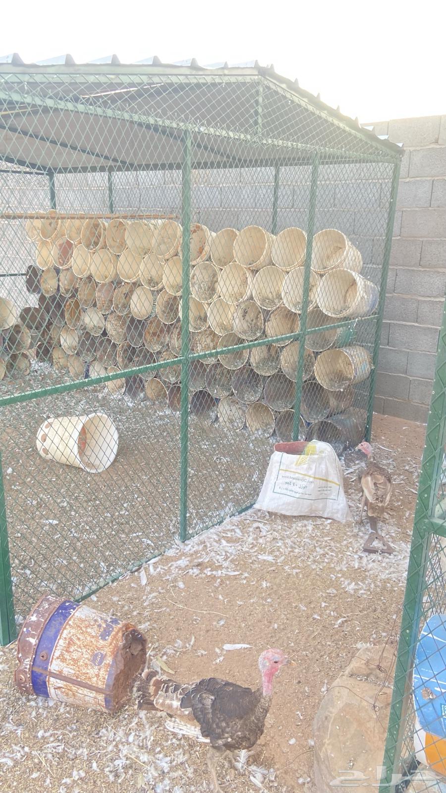 شبك حمام للبيع64592298933762112