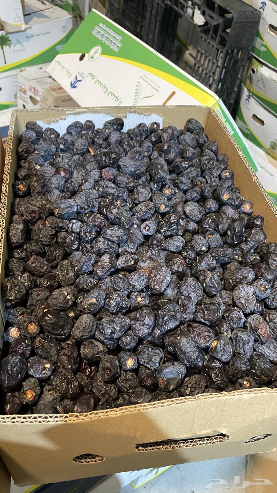 تمر عجوة المدينة المنورة64589376842371111