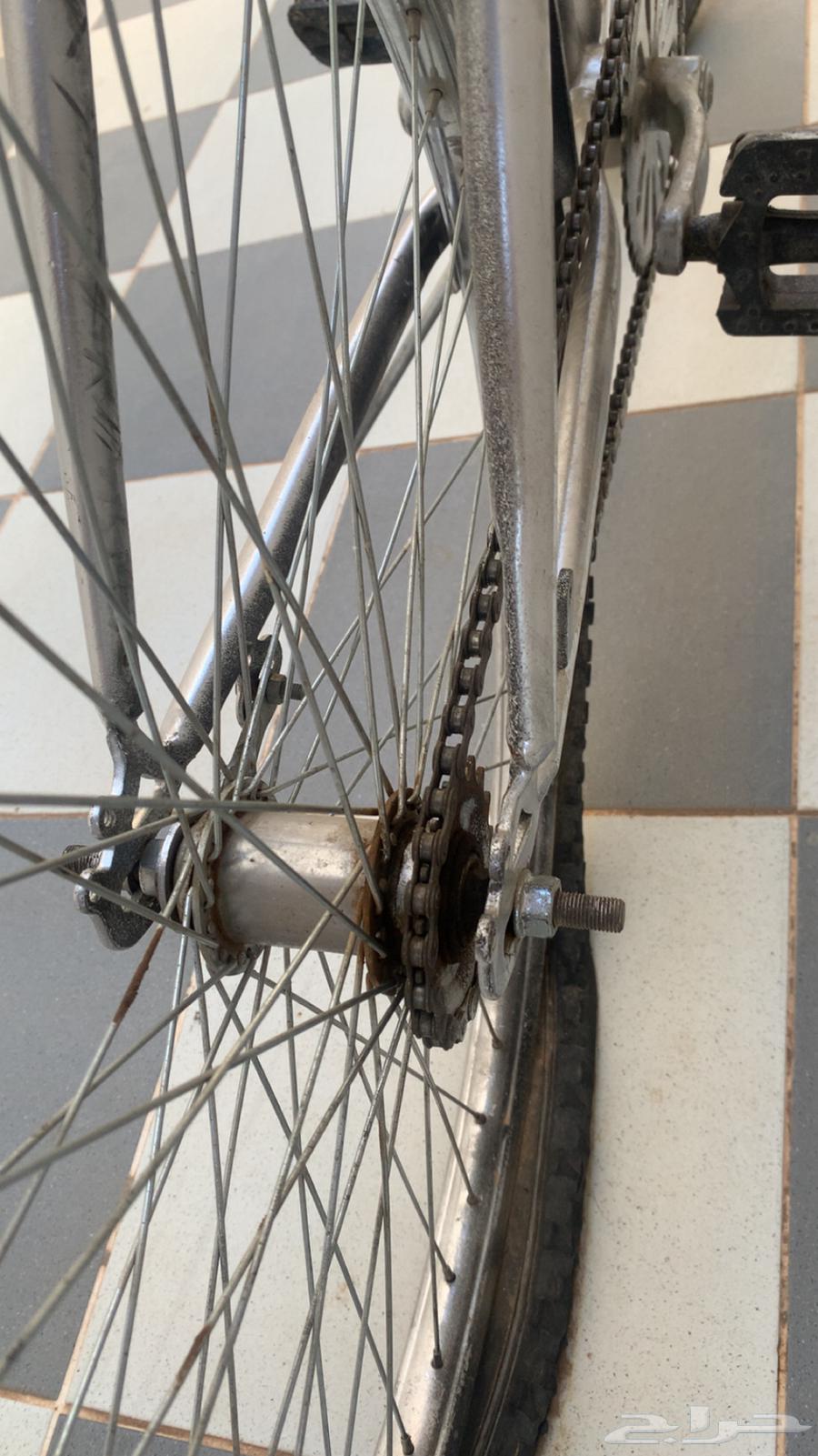 سيكل مقاس 26 للبيع او البدل بشي معقول64592396260099112