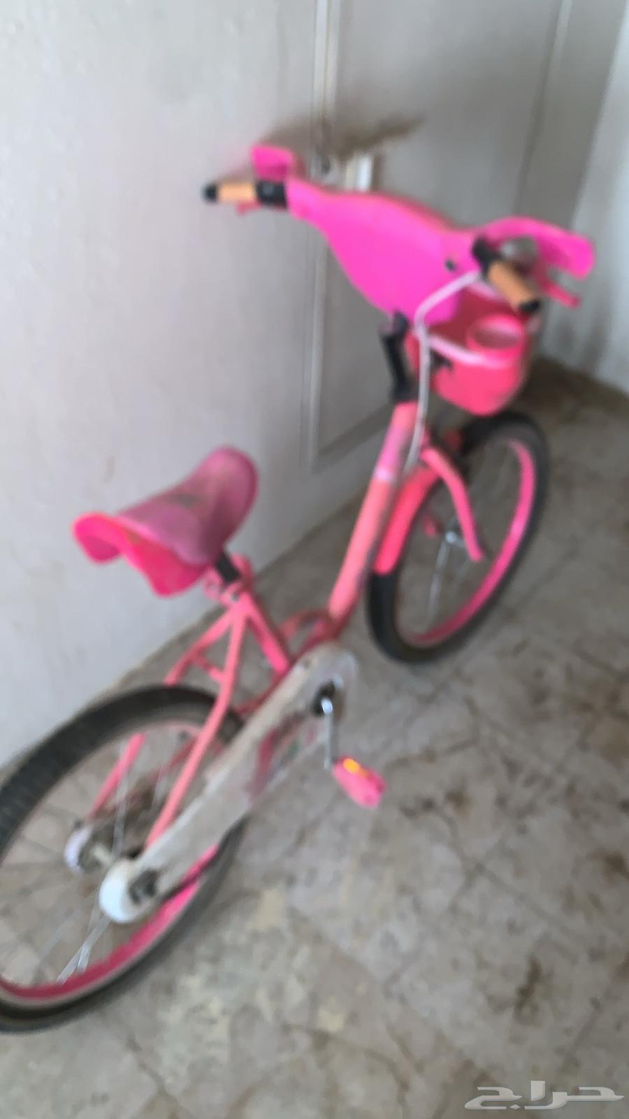 Bicycle64589977643010111