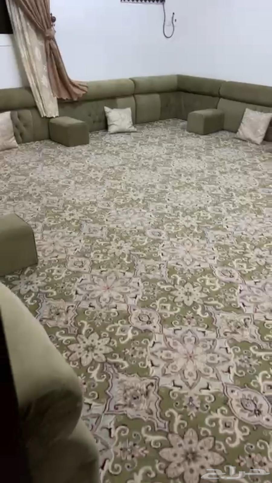 Complete cushion set with mattress, curtain, and cushions64591888571779111