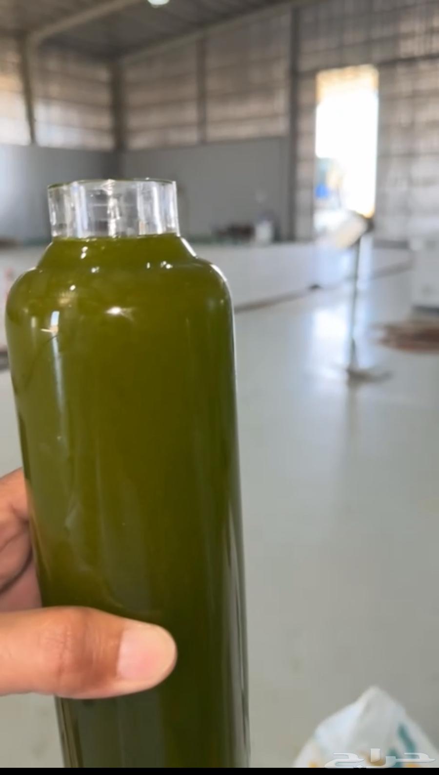 زيت زيتون بكر عصرة اولى على البارد64595858028545112