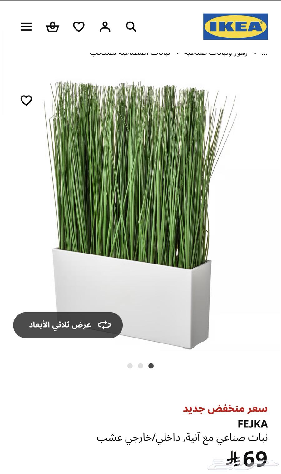 شجر نباتات ايكيا للبيع بسعر مخفض64596501688066110