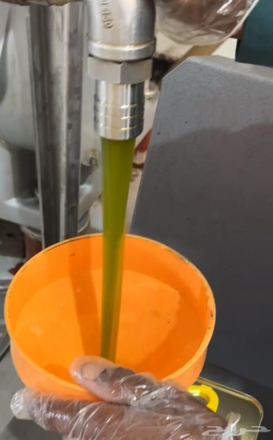 زيت زيتون بكر عصرة اولى على البارد64595858028545114