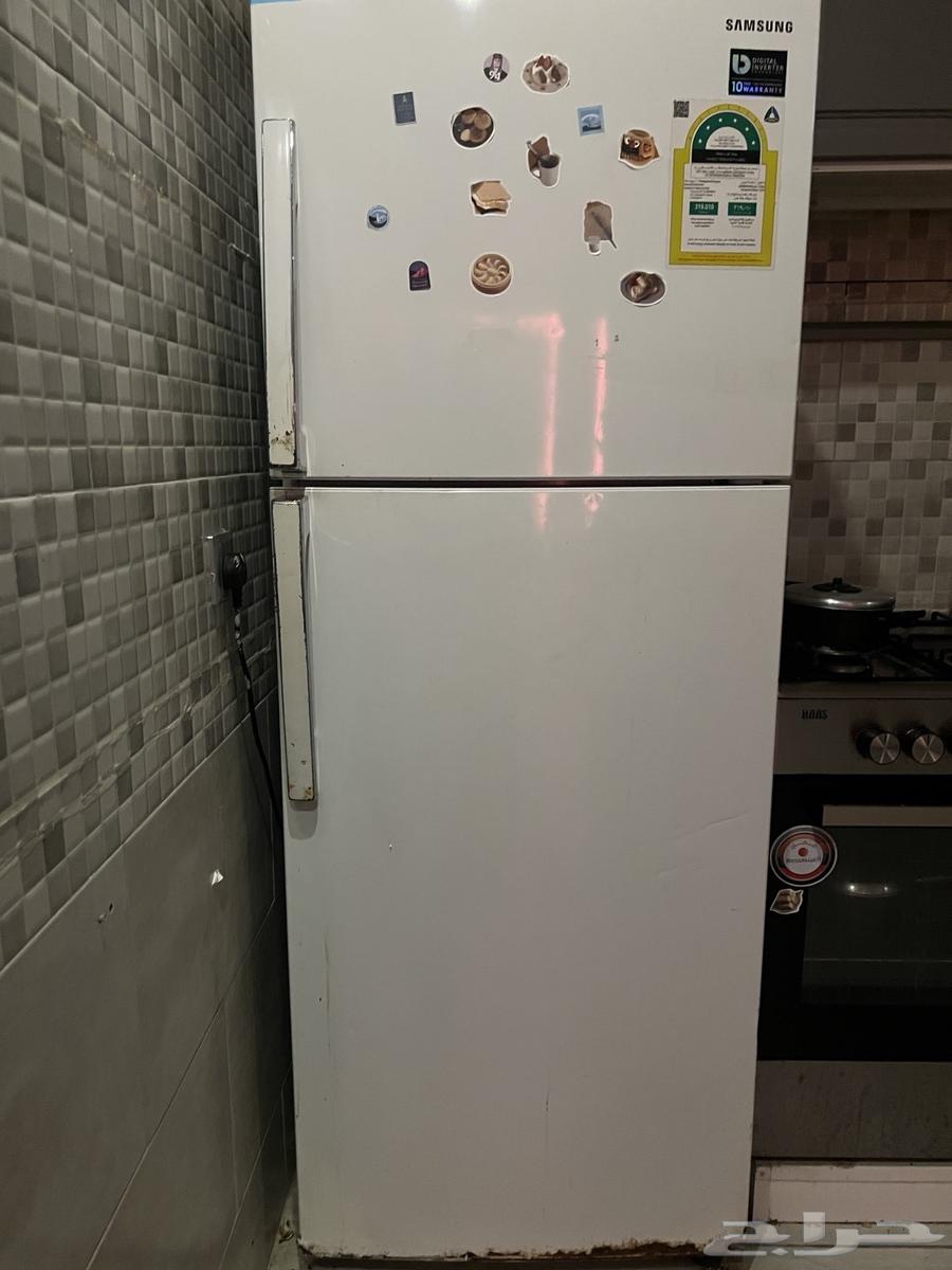 Refrigerator and Freezer64589600237825110