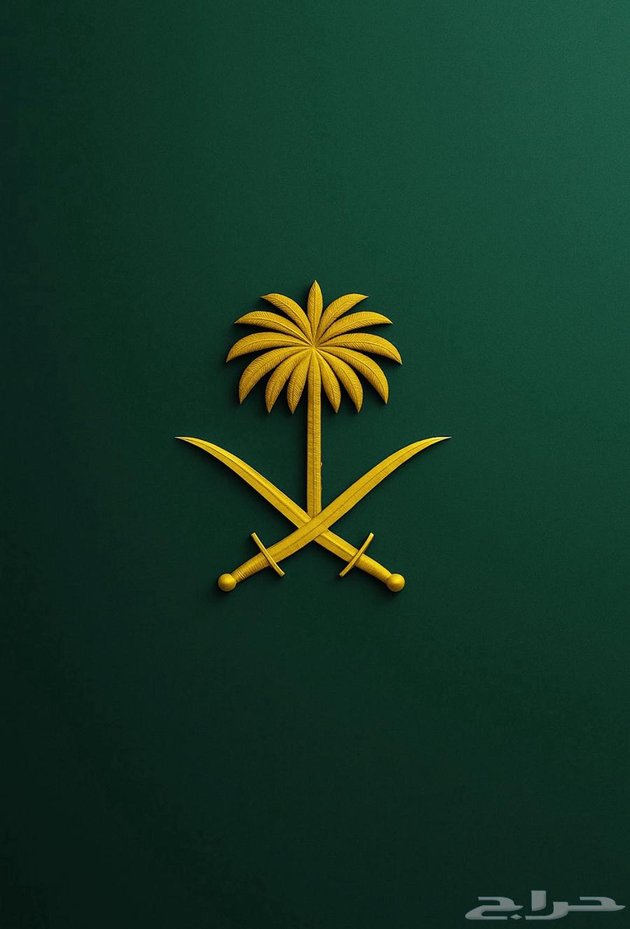 100 دولار للبيع64594589585794110