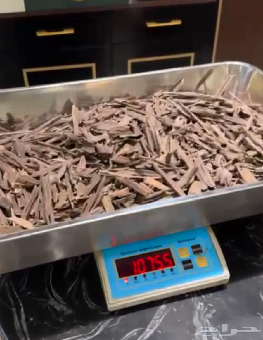 عود هندي64595083285506110