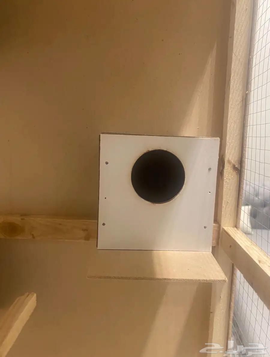 قفص طيور جديد64594837919107113