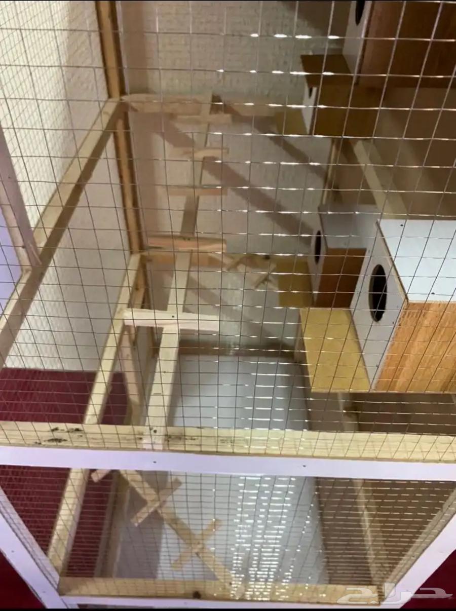 قفص طيور جديد64594837919107114