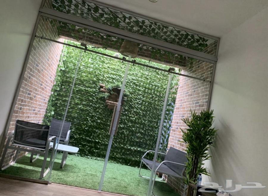 واجهة زجاج سكريت مع بابين سحاب شبة جديد64589475823234110