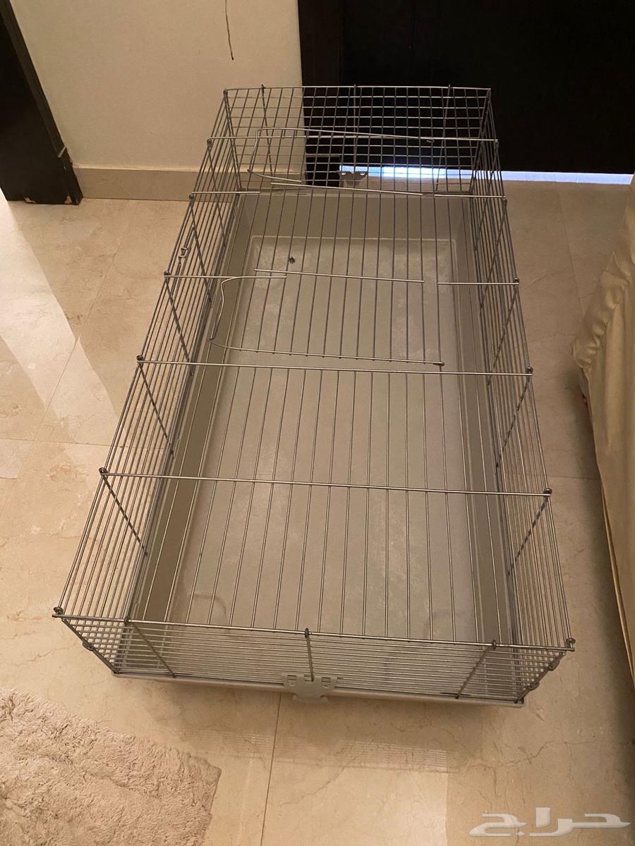 شبك حيوانات64592733293313110