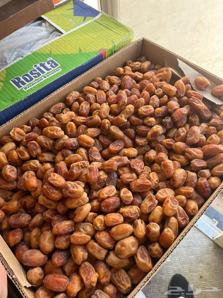 تمر خلاص ذهبي64596266158082113