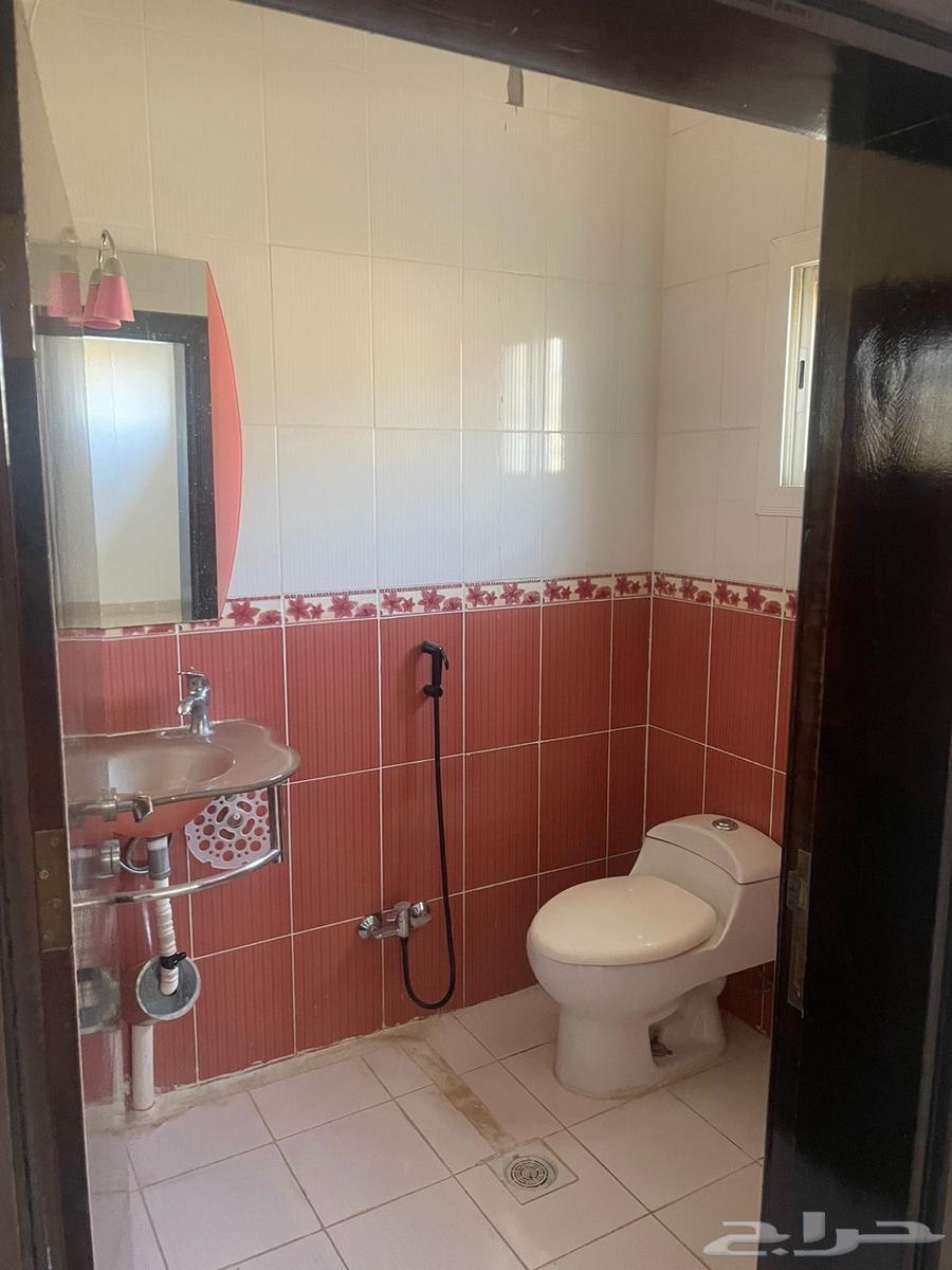 Apartment for rent in Al Bahah in Shahba64146501260675114