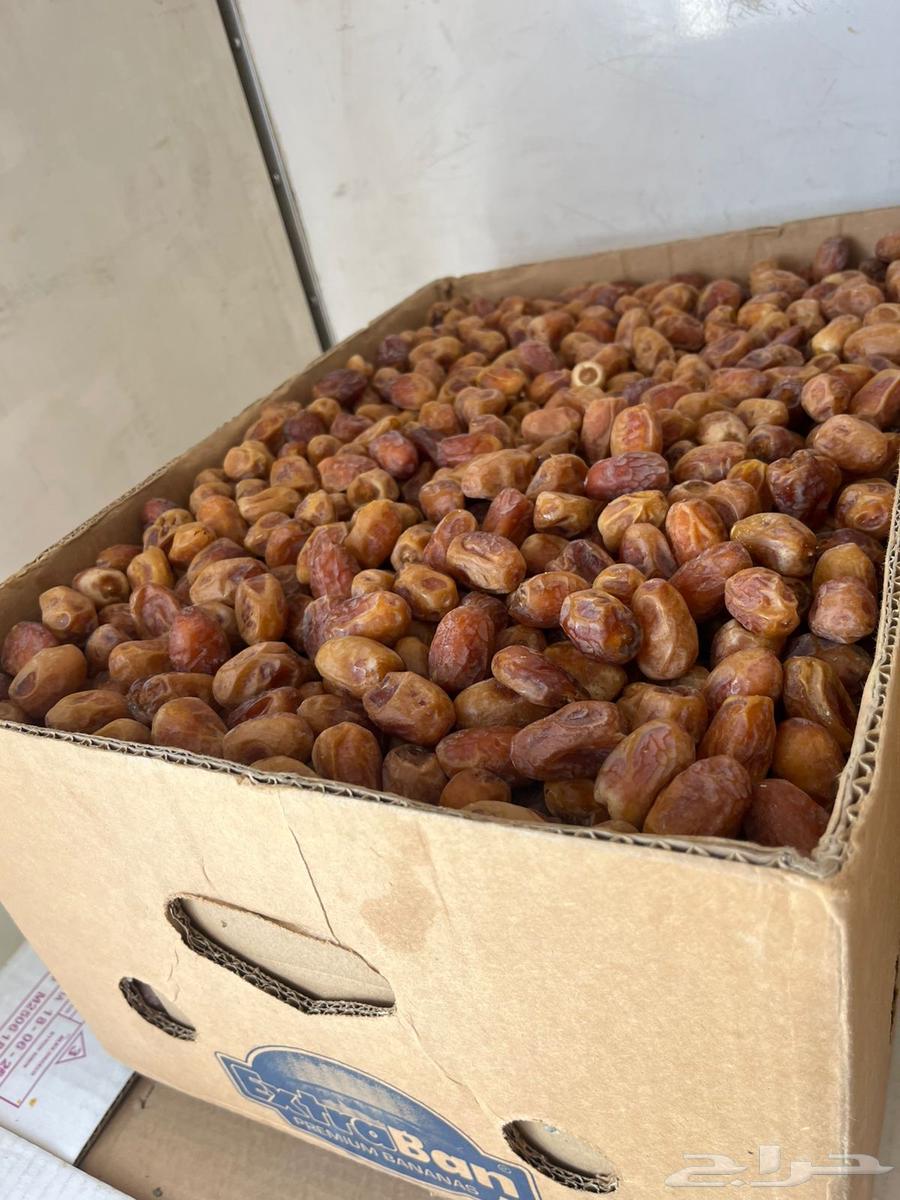 تمر خلاص ذهبي64596266158082111