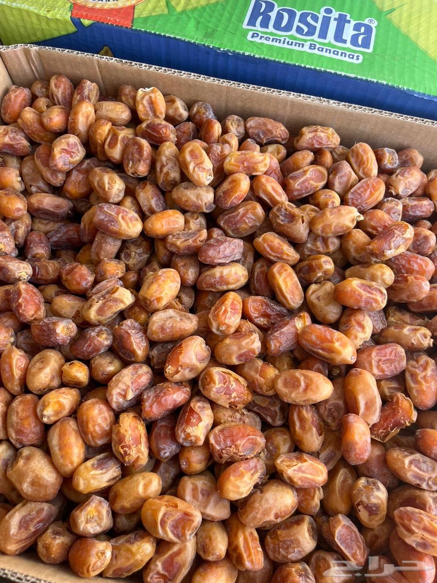 تمر خلاص ذهبي64596266158082112