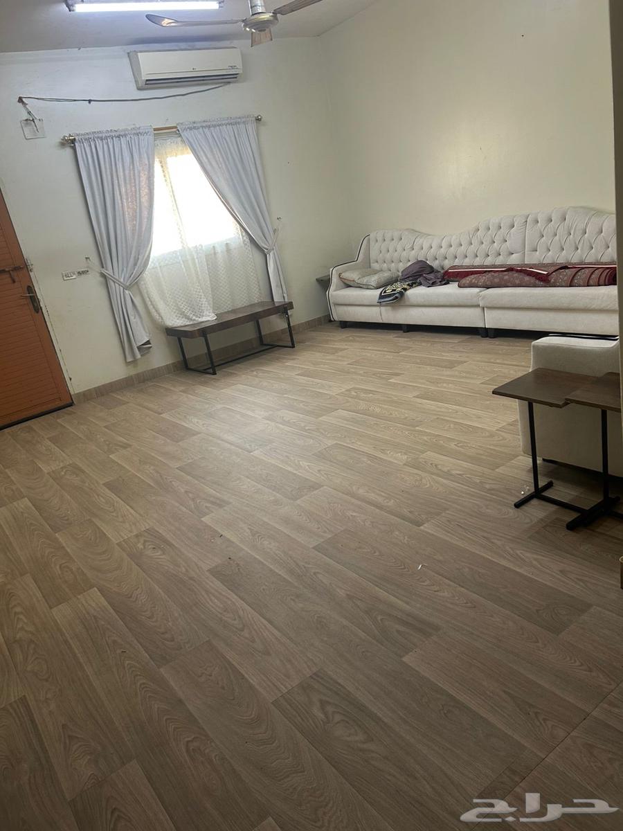 مشمع باركيه64595341758339111